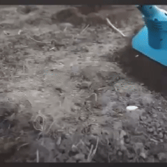 КУЛЬТИВАТОР САДОВЫЙ 